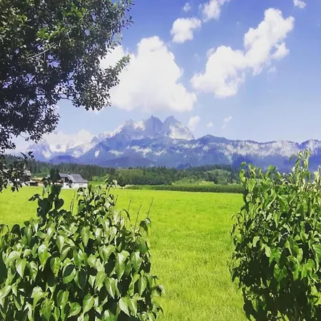 Spacious In Near Area *