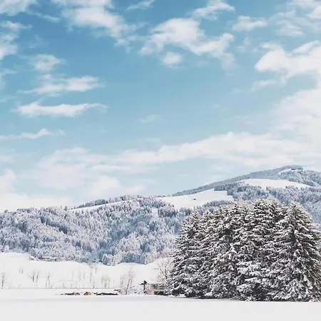 Spacious In Near Area * Uderns