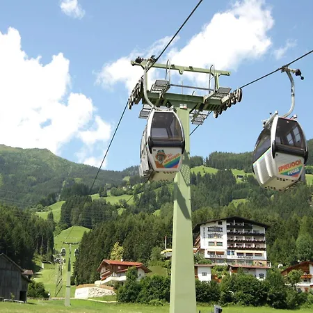 Spacious In Near Area Appartamento *