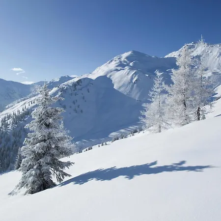 Spacious In Near Area