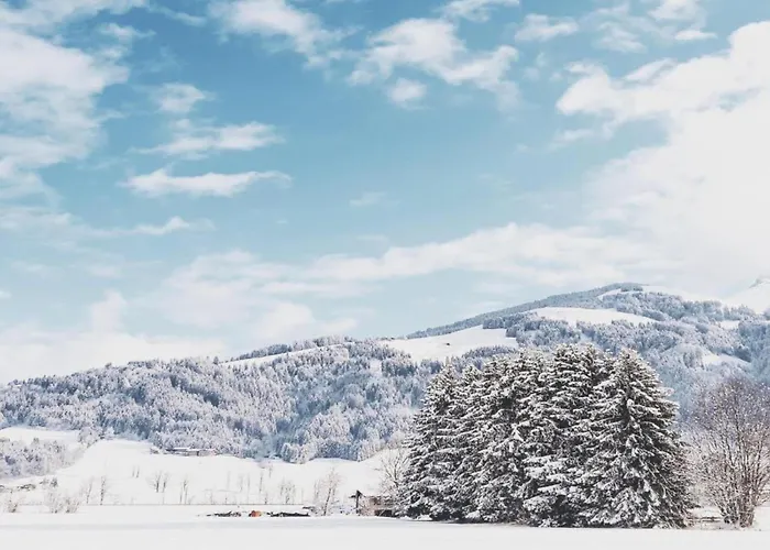 Spacious In Near Area * Uderns