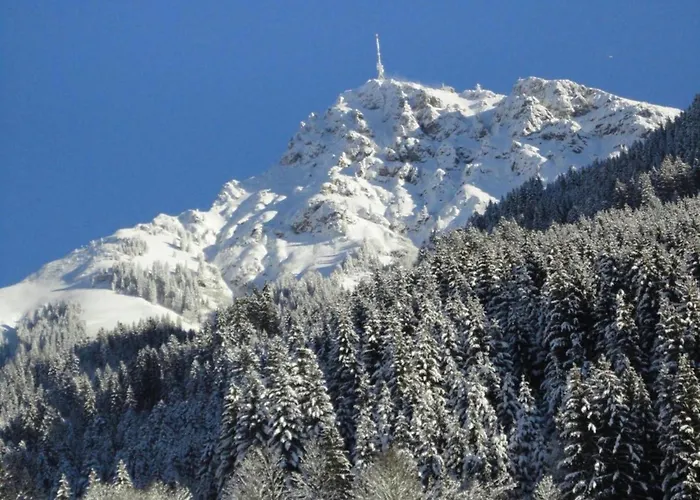 Spacious In Near Area Apartman