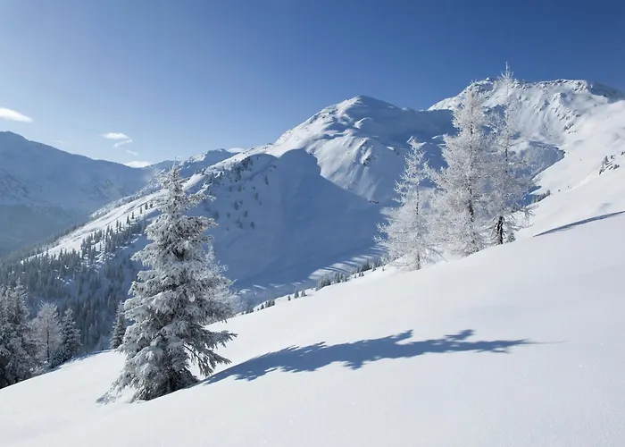 Spacious In Near Area