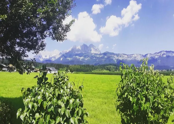 Spacious In Near Area *