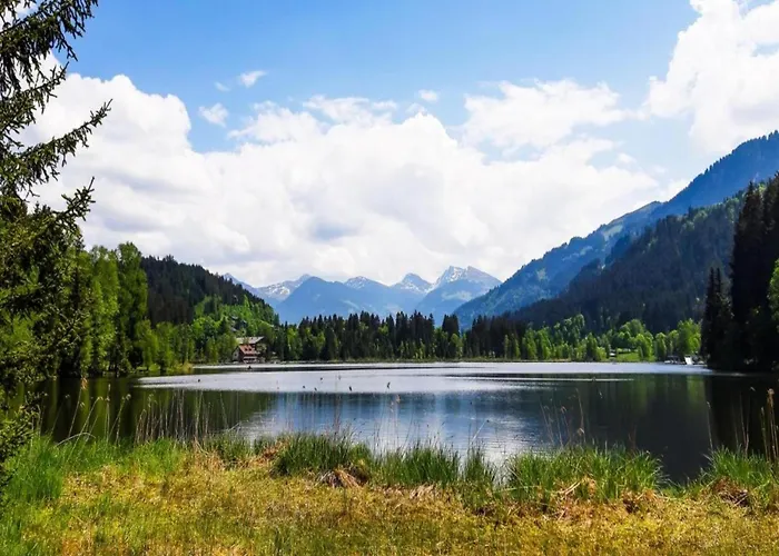 Spacious In Near Area Apartman