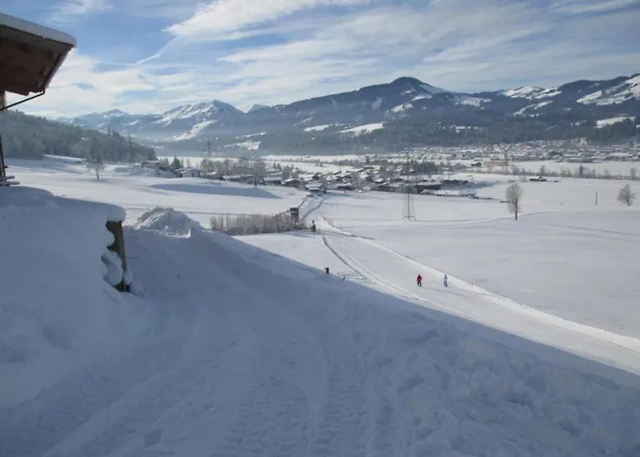 Apartman Spacious In Near Area Uderns