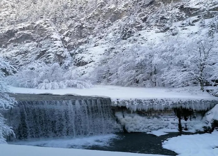 Spacious In Near Area *